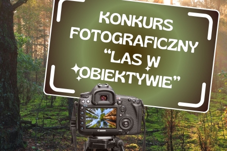 konkurs fotograficzny ''Las w obiektywie''