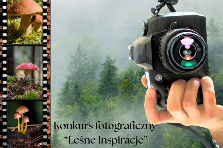 Wojewódzki Konkurs Fotograficzny