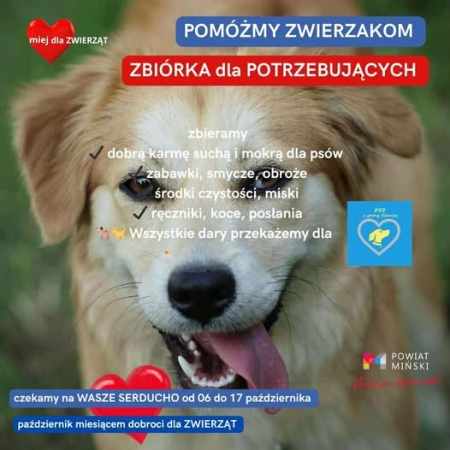 Charytatywna zbiórka karmy